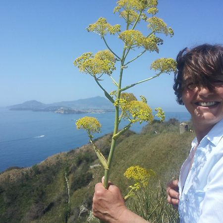 Mary'S Dream - Villa Overlooking Capri And Ischia In Sorrento Peninsula Massa Lubrense Ngoại thất bức ảnh